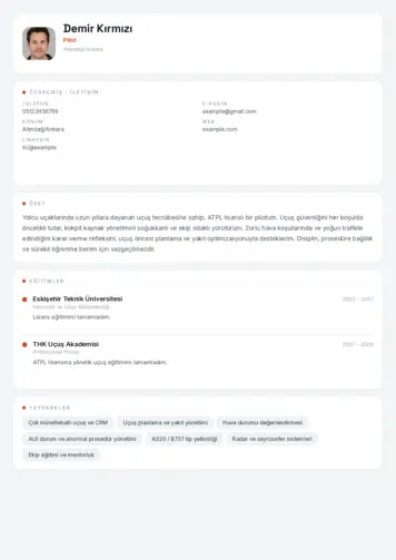  cv indir